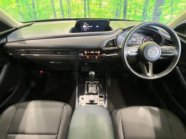 CX-30