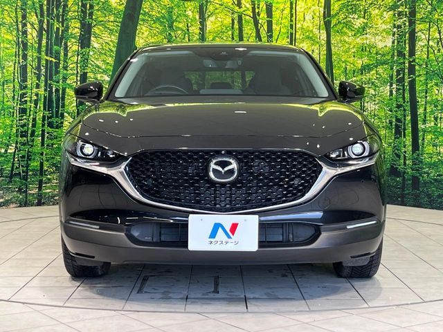 CX-30