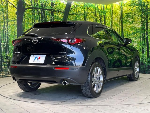 CX-30