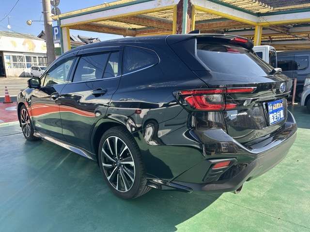 LEVORG
