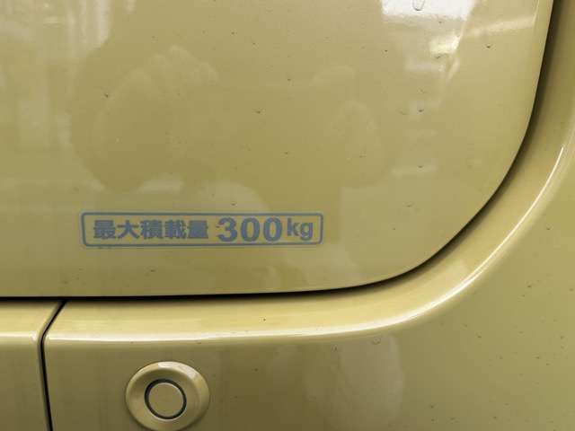 N-VAN e: