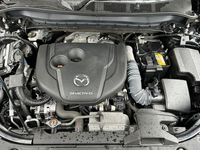 CX-8