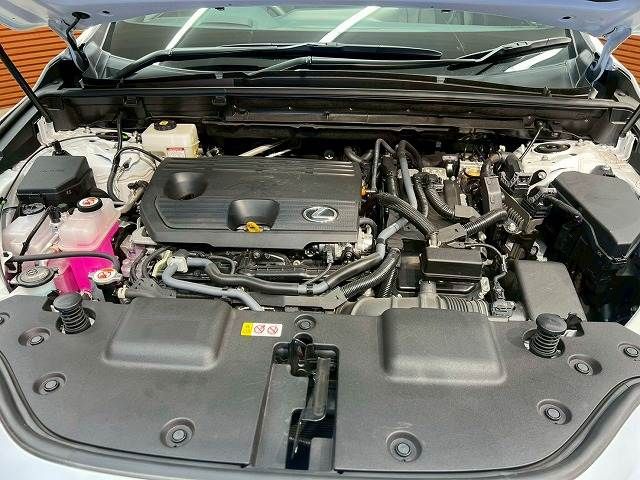 LEXUS NX350h