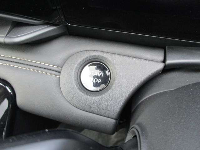 SERENA WG 4WD