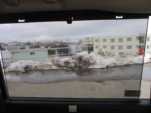 SERENA WG 4WD