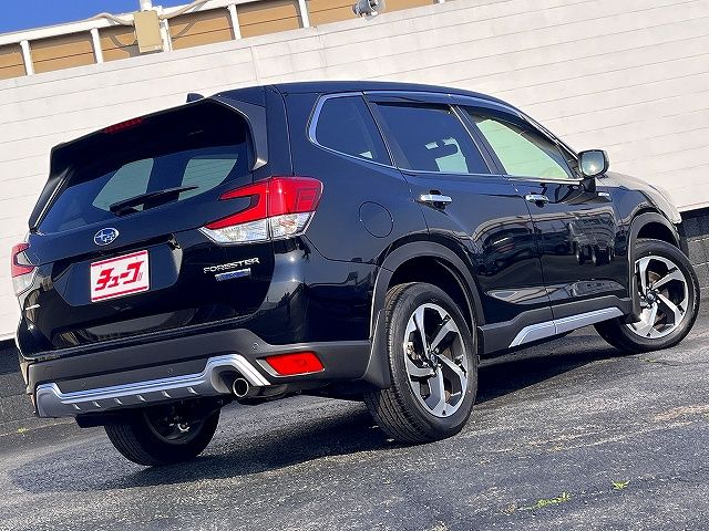 FORESTER