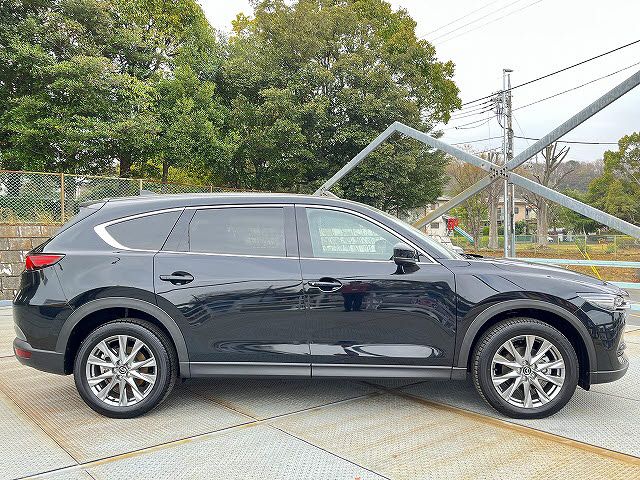CX-8