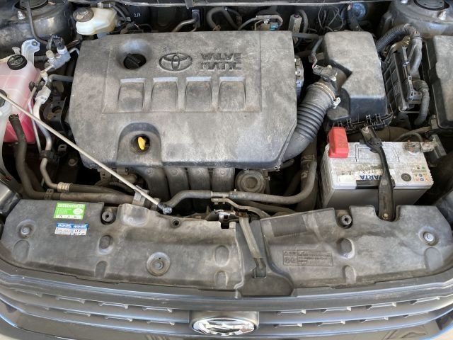 COROLLA RUMION