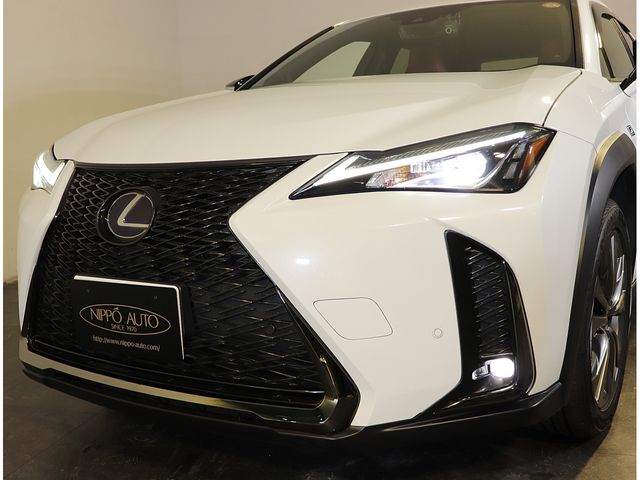 LEXUS UX250h