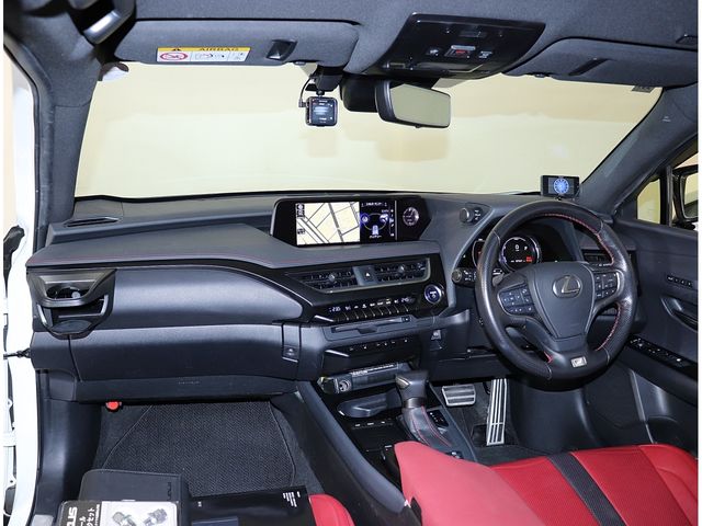 LEXUS UX250h