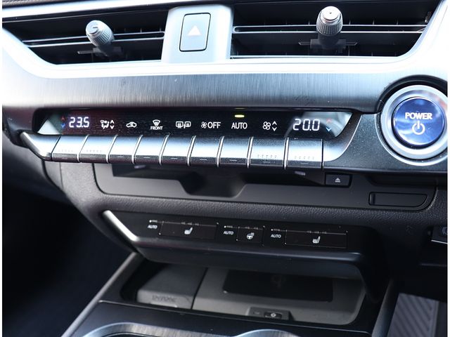 LEXUS UX250h
