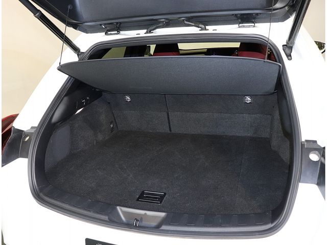 LEXUS UX250h