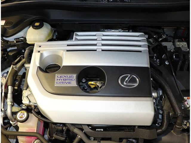 LEXUS UX250h