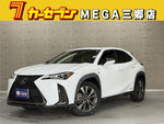 LEXUS UX250h