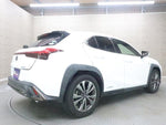LEXUS UX250h