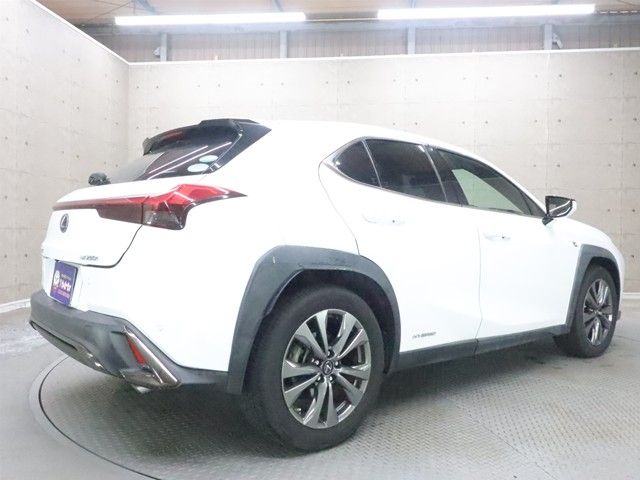 LEXUS UX250h