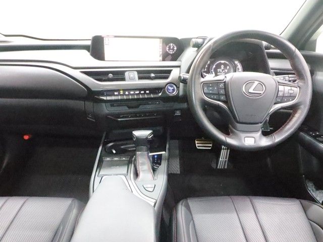 LEXUS UX250h