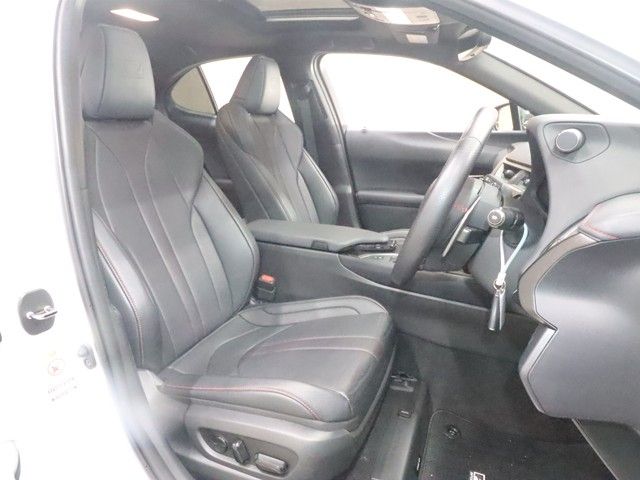 LEXUS UX250h