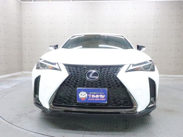 LEXUS UX250h