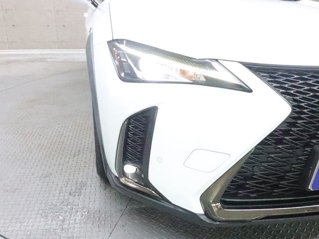 LEXUS UX250h