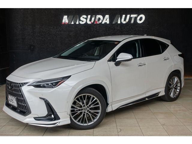 LEXUS NX450h+ AWD