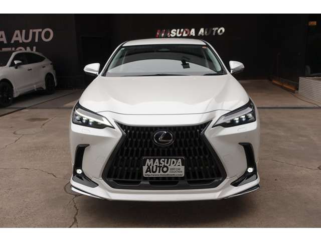 LEXUS NX450h+ AWD