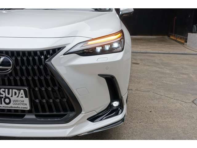 LEXUS NX450h+ AWD