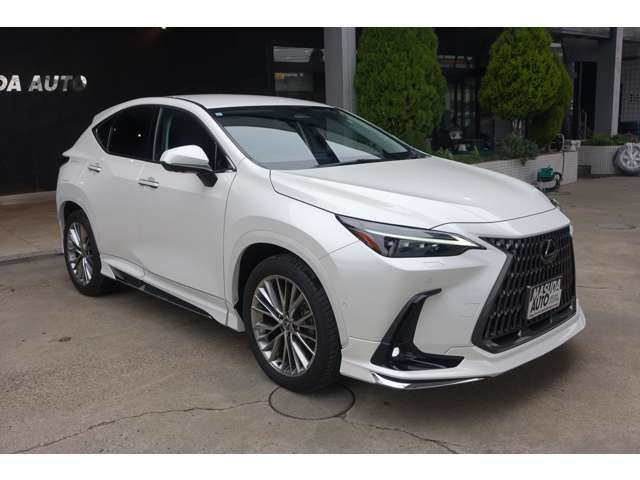 LEXUS NX450h+ AWD