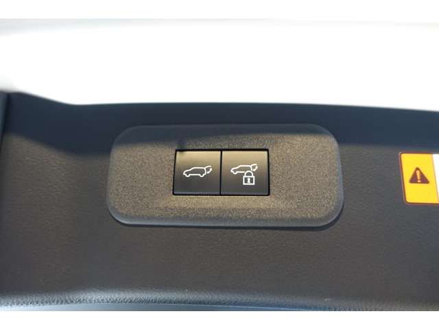 LEXUS NX450h+ AWD