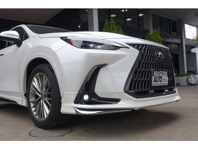 LEXUS NX450h+ AWD