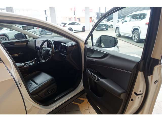 LEXUS NX450h+ AWD