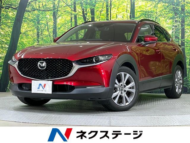 CX-30