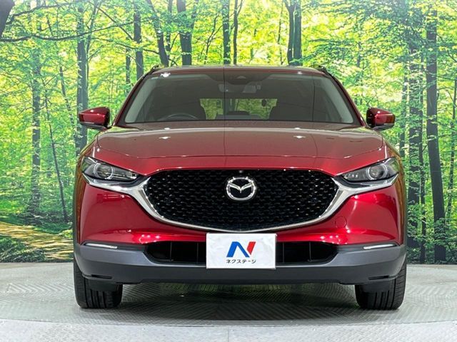 CX-30