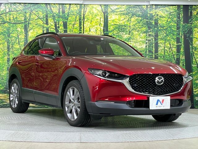 CX-30