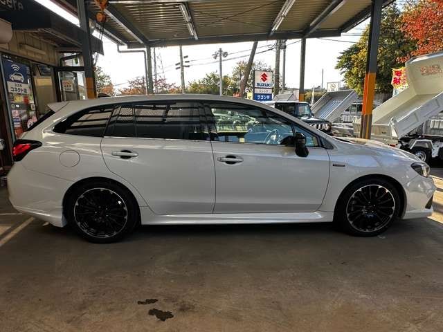 LEVORG