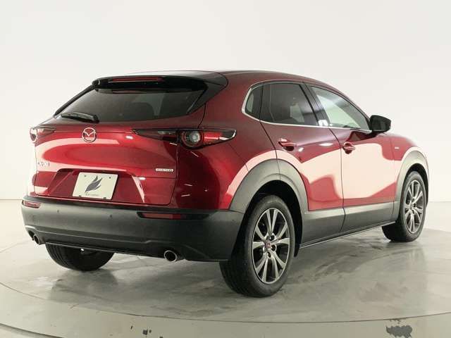 CX-30