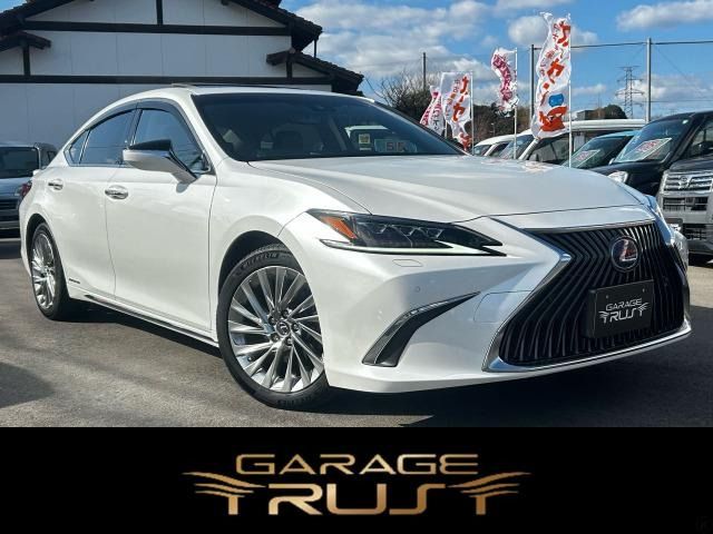 LEXUS ES300h