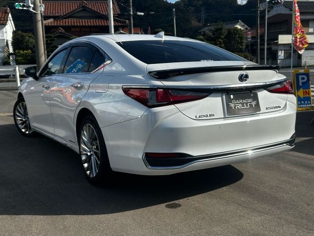 LEXUS ES300h