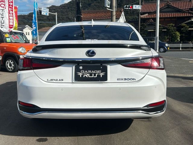LEXUS ES300h