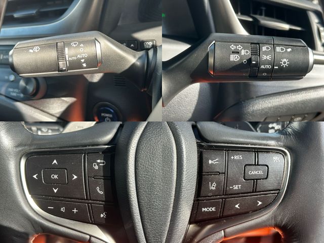 LEXUS ES300h