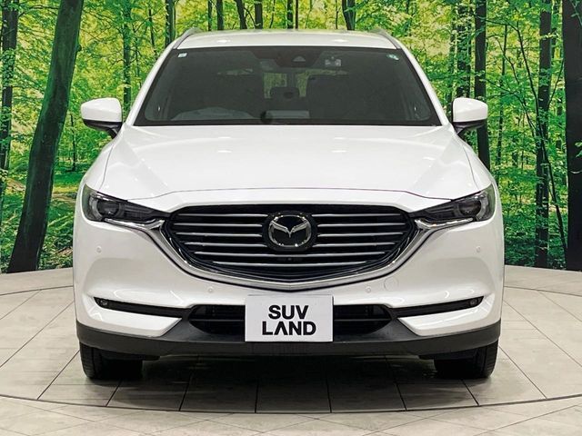 CX-8