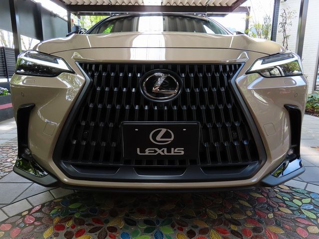 LEXUS NX450h+ AWD