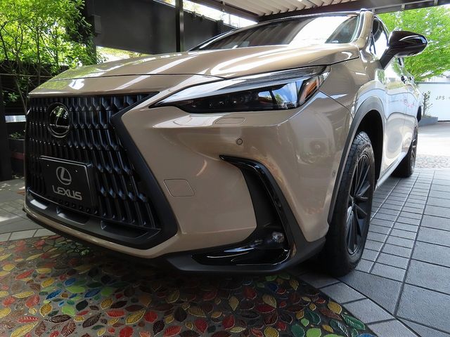 LEXUS NX450h+ AWD