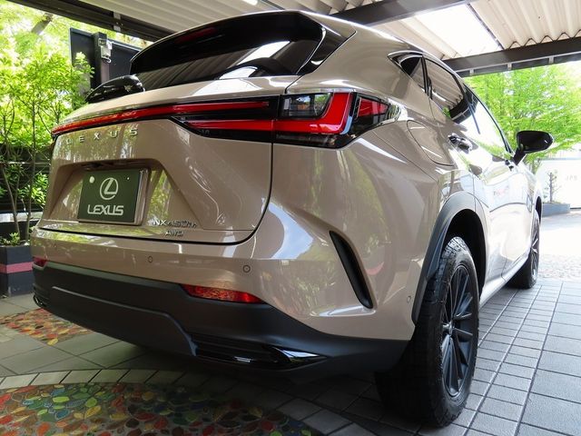 LEXUS NX450h+ AWD