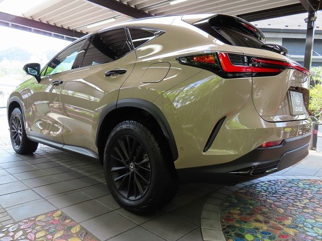 LEXUS NX450h+ AWD