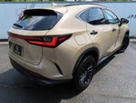 LEXUS NX450h+ AWD