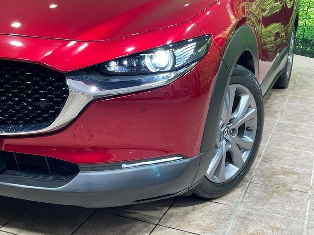 CX-30