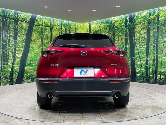 CX-30