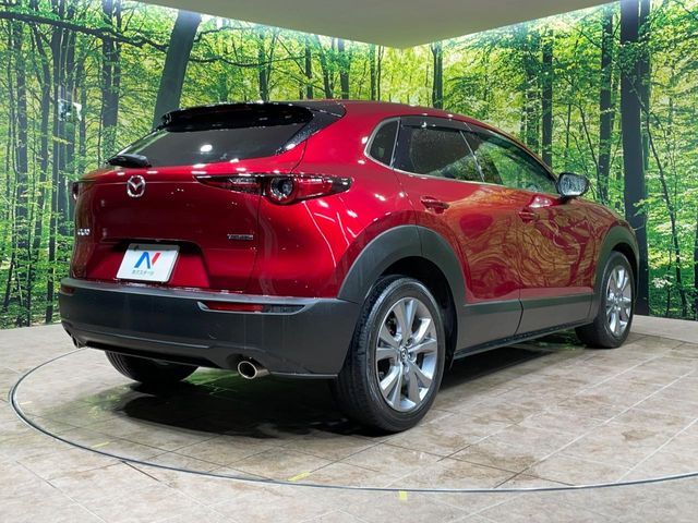 CX-30