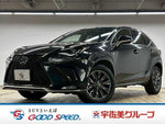 LEXUS NX300